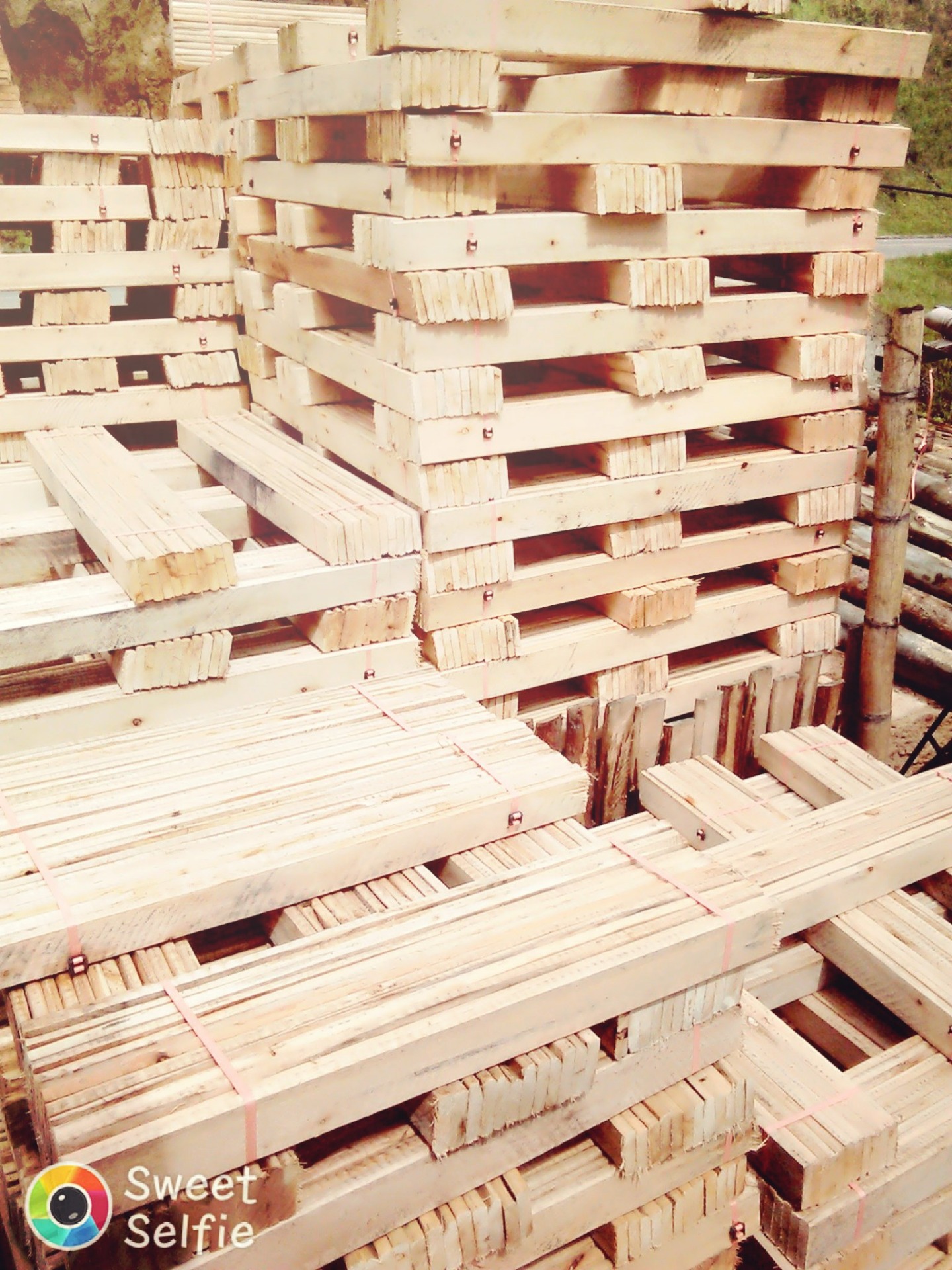 ¿Que ofrecemos? Tablasparacamajanyle